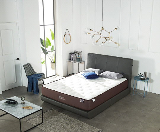 쿠쿠홈시스 팔로모와 보급형프레임 레체의 이미지. <쿠쿠홈시스 제공>